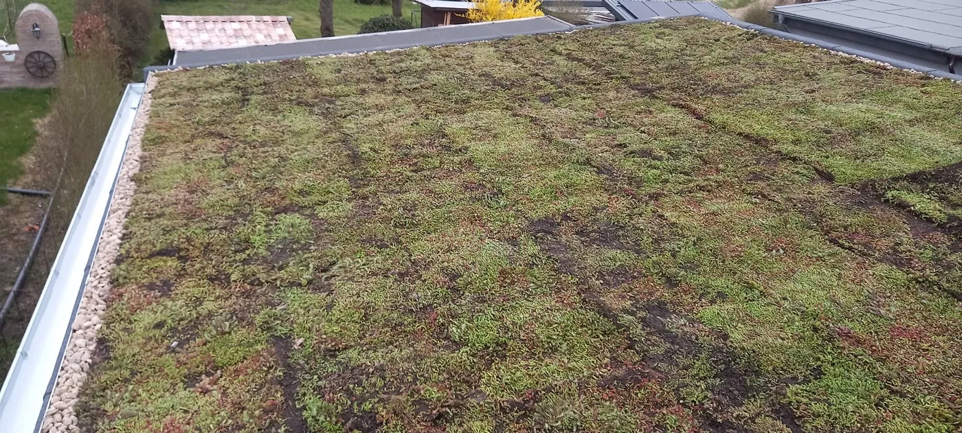 Fertig begrüntes Gründach auf einem Flachdach